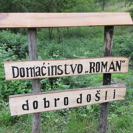 Country House Roman Добой Екстериор снимка