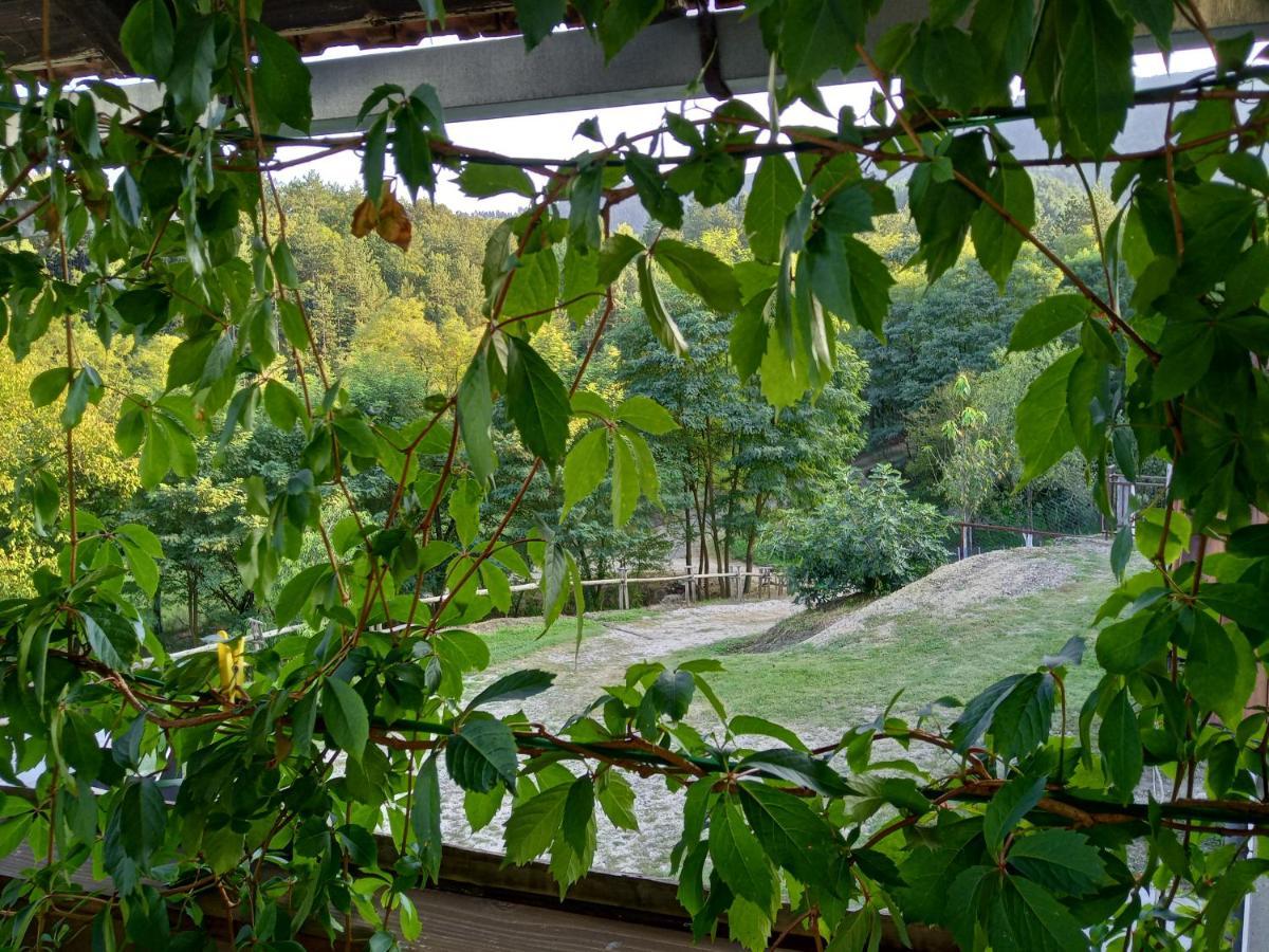 Country House Roman Добой Екстериор снимка