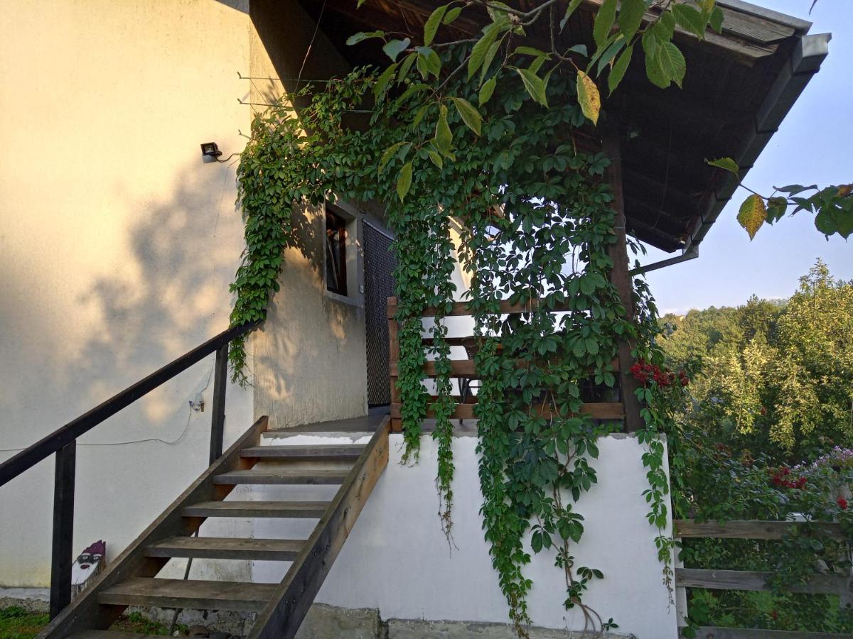 Country House Roman Добой Екстериор снимка