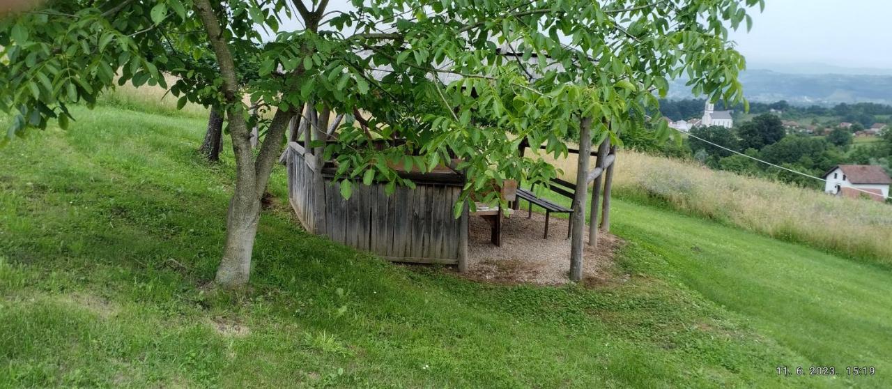 Country House Roman Добой Екстериор снимка