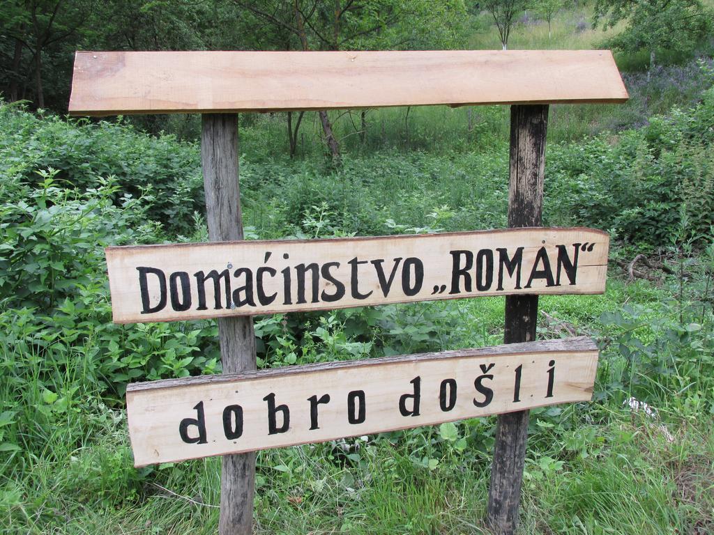 Country House Roman Добой Екстериор снимка