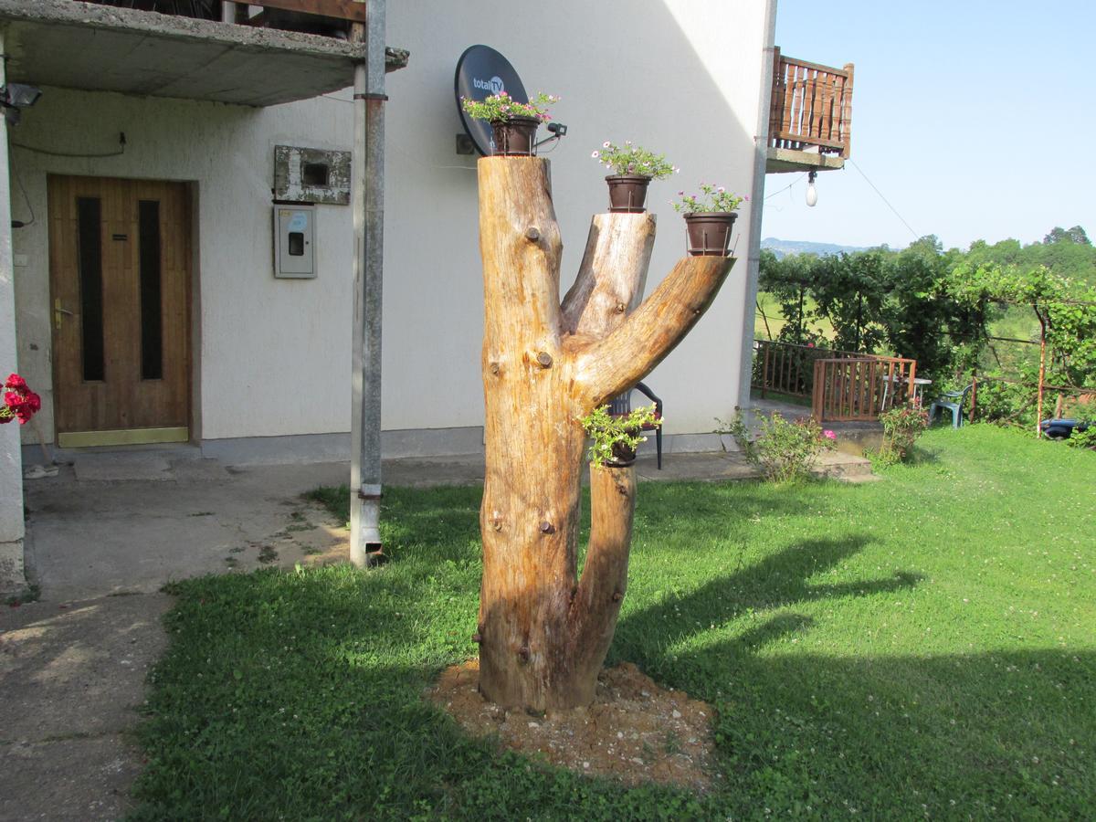 Country House Roman Добой Екстериор снимка